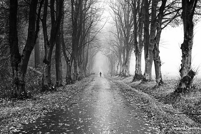 Autumn 2017 - Bernhard Saalfeld - Lichtbildkunst Autumn 2017 - Bernhard Saalfeld - Lichtbildkunst