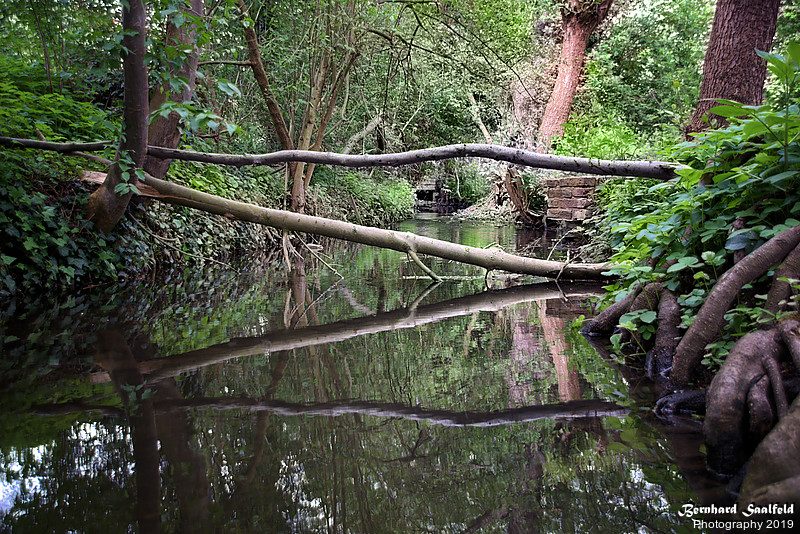 Brook Strunde - Bernhard Saalfeld - Lichtbildkunst